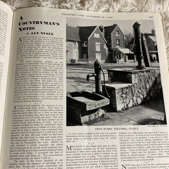 COUNTRY LIFE MAGAZINE October 28, 1954 - Picture 14 of 16